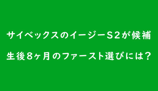 《ベビーカーの選び方》サイベックスのイージーS2が候補。生後8ヶ月のファースト選びには?
