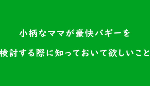 《ベビーカーの選び方》小柄なママが豪快バギーを検討する際に知っておいて欲しいこと