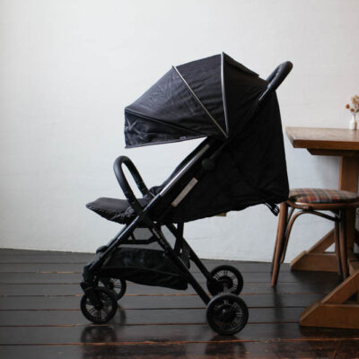 イングリッシーナ クイッド2α